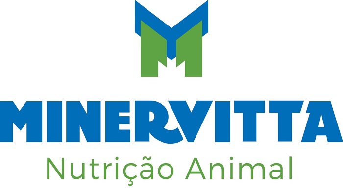 Minervitta